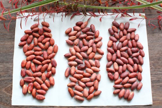 乾燥生落花生の味噌󠄀ピーナッツ