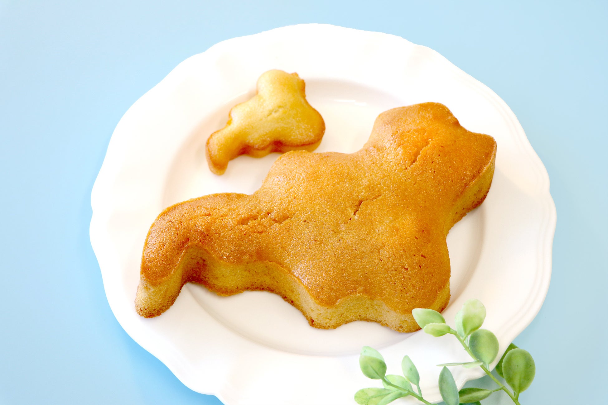 ミュージアムショップ おいでや - おごと温泉 その他食べログ