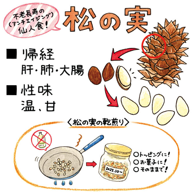 松ぼっくりジャムの季節がやってきました。 - 木能実