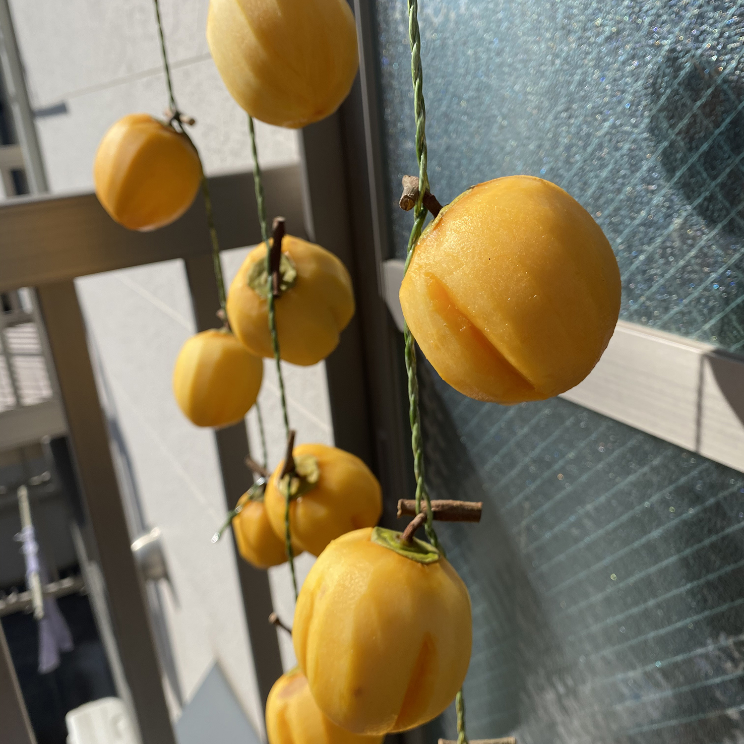 初めてでも出来た干し柿。簡単な作り方とポイント - 大淀町で暮らそう