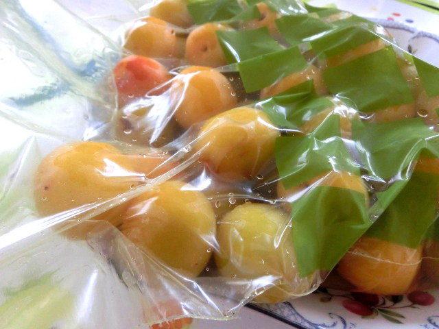 はちみつはカビが生える?見分け方や対処法をご紹介 - はちみつマイスター おしゅんのブログ