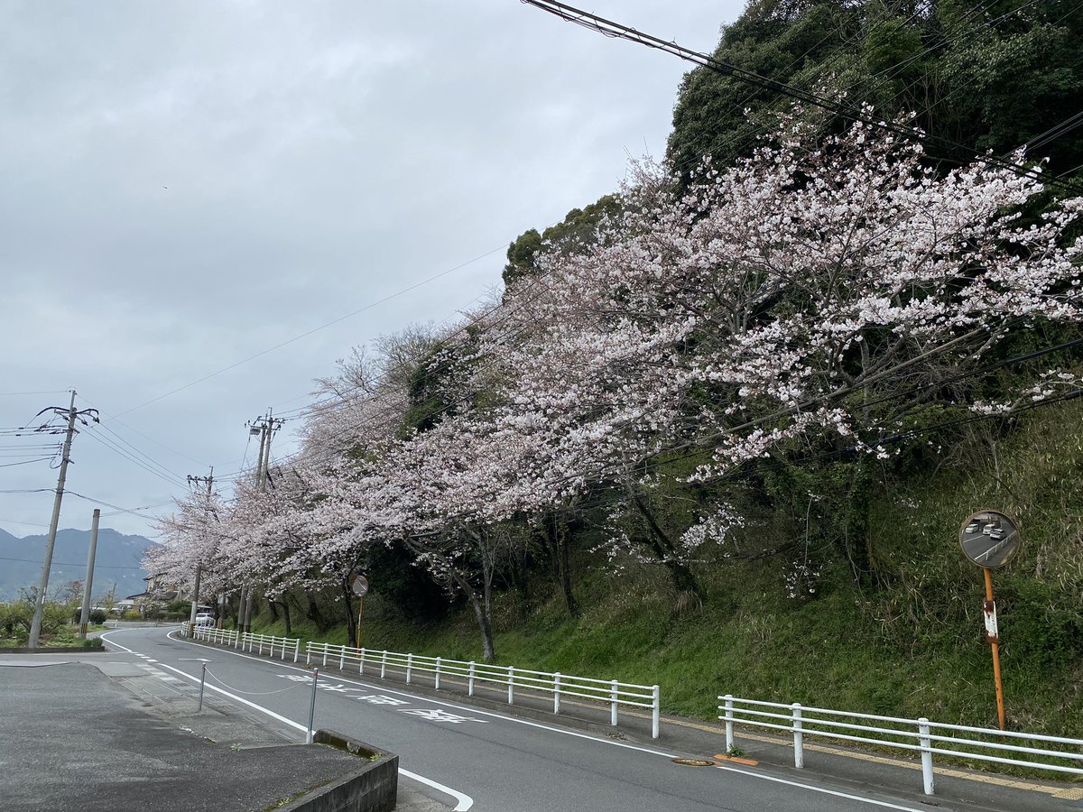 Be Reborn～開業50周年を迎える沖縄ハーバービューホテル新たな50年に向けて大規模リニューアルに着手 | 株式会社ホテル