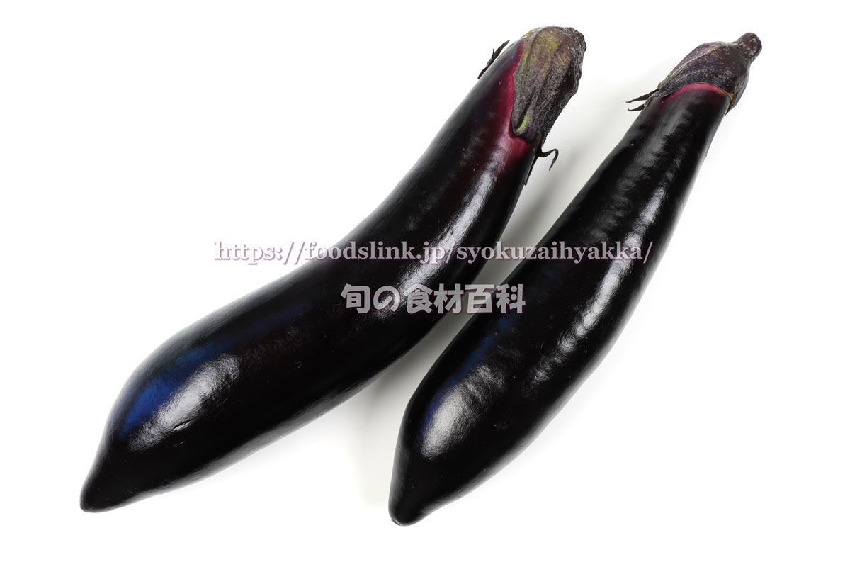 映える ばえる 品種 ナス類│土と親しむ ~家庭菜園・農業応援歌~