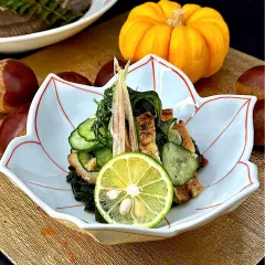 タコとベビーホタテの酢の物＊ネギポンde柚子胡椒納豆の冷奴♡きょん♡お料理日記 *pq'v`* ♪