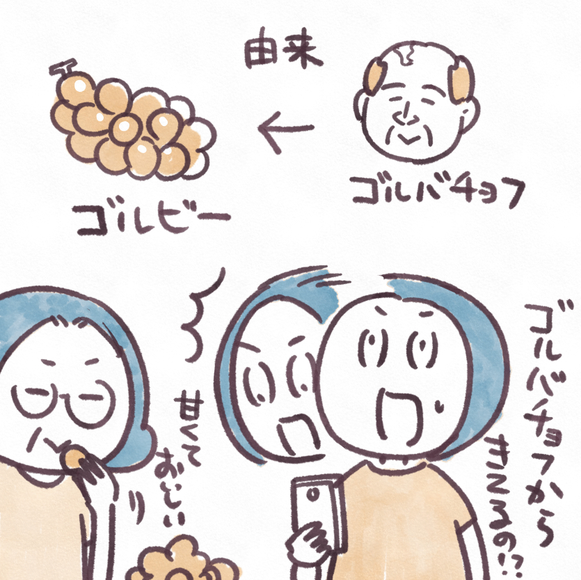 道の駅つるちかくのほ場で育てられたみずみずしいブドウ。 大きく美しく実りました。 巨峰、ゴルビー、スカーレット、ピオーネ 都留市でできたブドウですよ!「山梨といえば、ブドウですよね」 と言われても、ちょっと悔しい気持ちだったこれまで。 でも、今は、市内で