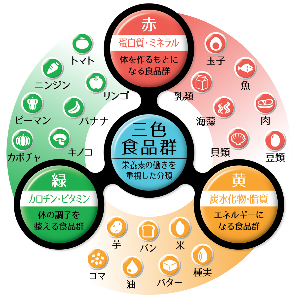 生活:5色鍋でヘルシーに鍋教室紀文アカデミー紀文食品