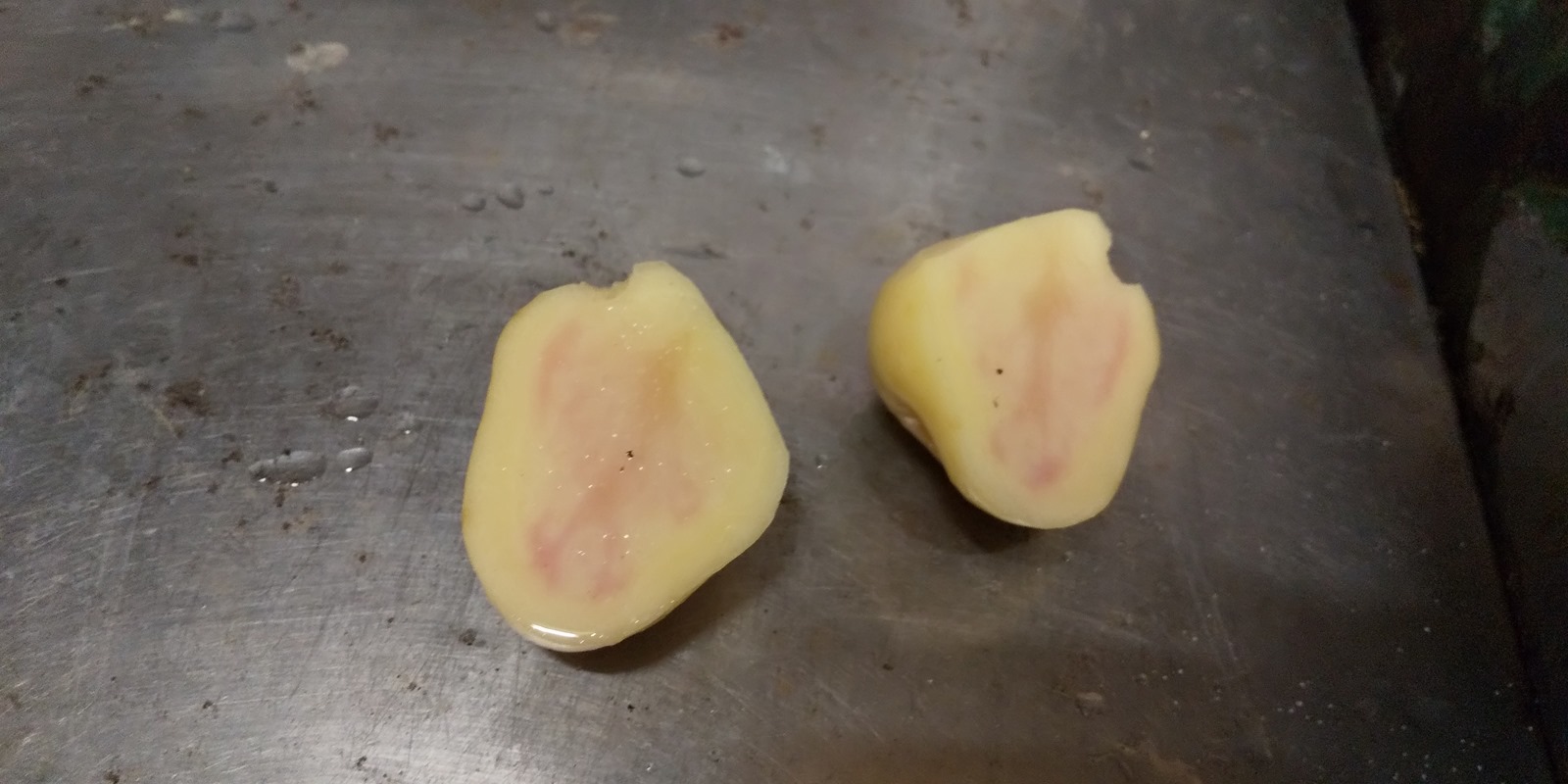 じゃがいもの断面が赤い！ ピンク 食べても問題なし？徳島の産直市 喜多野安心市 の２代目が伝えたい！やさいの話とか、農業の話とか