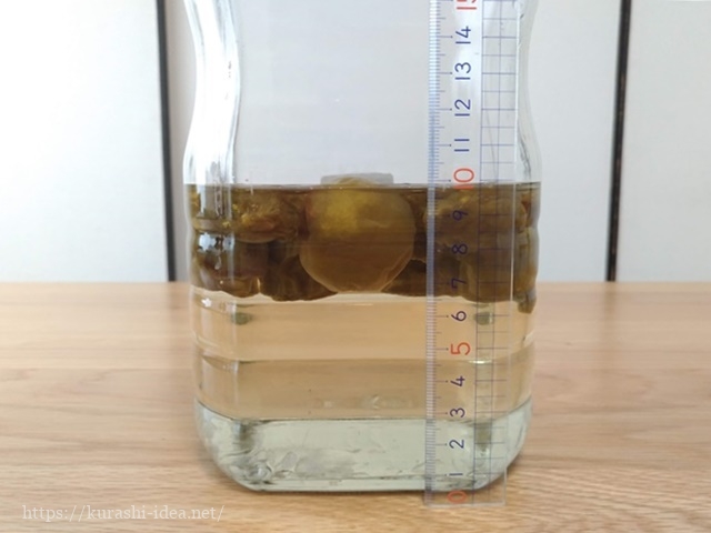 冷凍梅での梅シロップの味の比較と発酵したらどう対処するか？：白ごはん.com