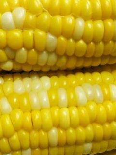 ためしてガッテン式とうもろこし by cherryちゃんクックパッド簡単おいしいみんなのレシピが392万品