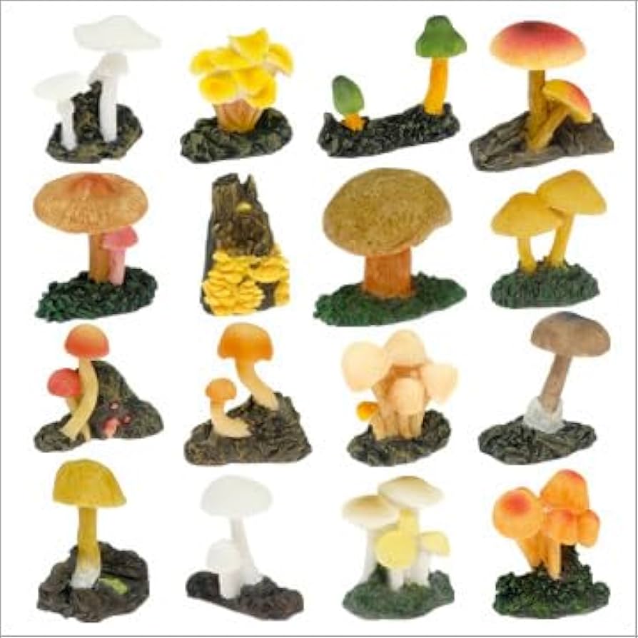 毒・毒・毒キノコアマナとひらく「自然・科学」のトビラNATURE ＆ SCIENCE