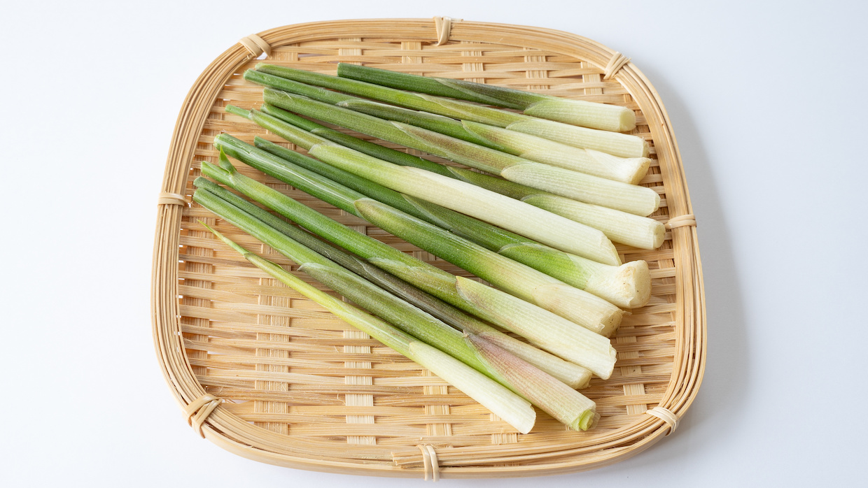 ミョウガの茎の、食べ方あれこれ。 - 元気な畑のごちそう
