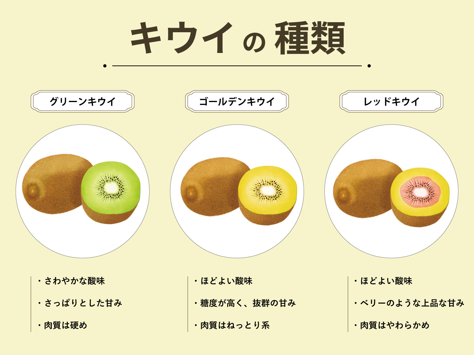 キウイ日記48単管でキウイ棚設置新規キウイフルーツ栽培サブロ～CEOのアスパラ日記