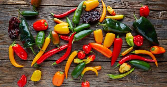 メキシコ料理」の簡単レシピで、手作りタコスparty！＃海外気分でおうちごはんるるぶ&more