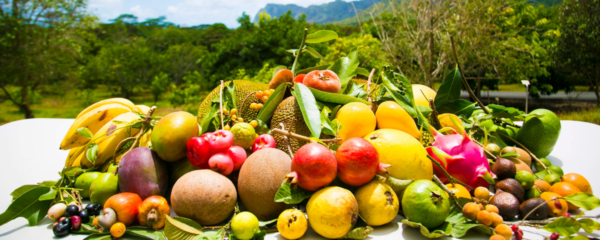 ハワイに来たら旬のものを食べてみよう！ハワイのフルーツ旬盛り！ALOHA GIRL