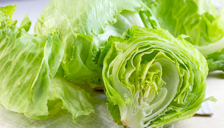 レタスの切り方と保存方法 - 顔が見える食品