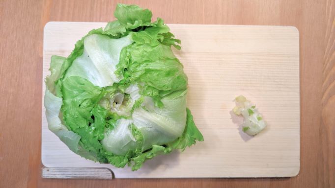 レタスを新鮮に保存するコツとは?簡単で効果的な保存方法をご紹介