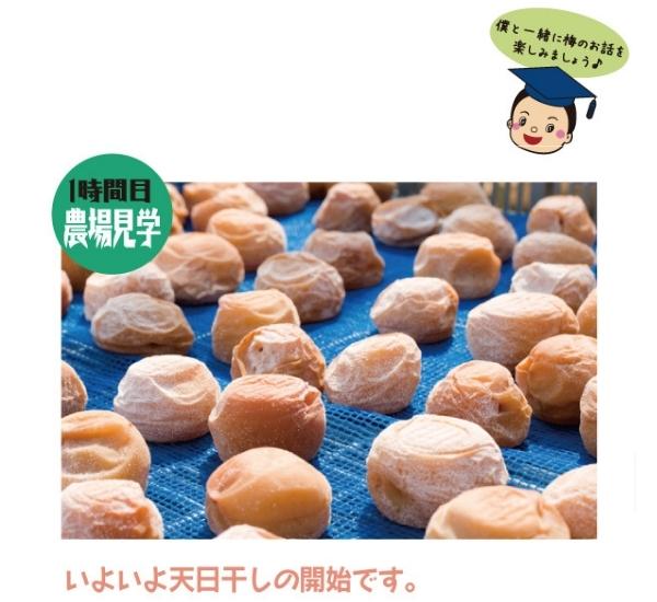 梅酒の梅でドライフルーツ 失敗メモby そぼくネコクックパッド簡単おいしいみんなのレシピが392万品