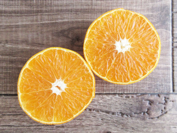 Illustratorのアピアランスを駆使して、たったひとつのオブジェクトでオレンジの断面を作るハミングスタジオブログ