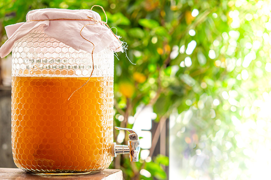 ドクダミ酒とドクダミチンキ。○◎お昼寝ＴＩＭＥ◎○