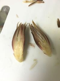 ミョウガの花🍀GreenSnap グリーンスナップ