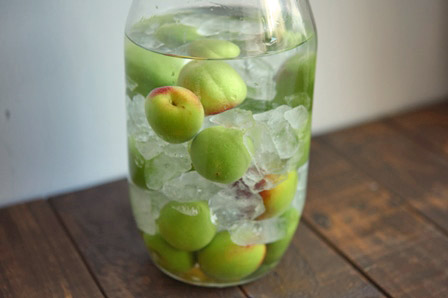 梅シロップ 梅ジュース のレシピ 作り方：白ごはん.com