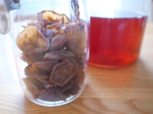 自家製にチャレンジ！おうちで簡単 ドライフルーツ の作り方キナリノ