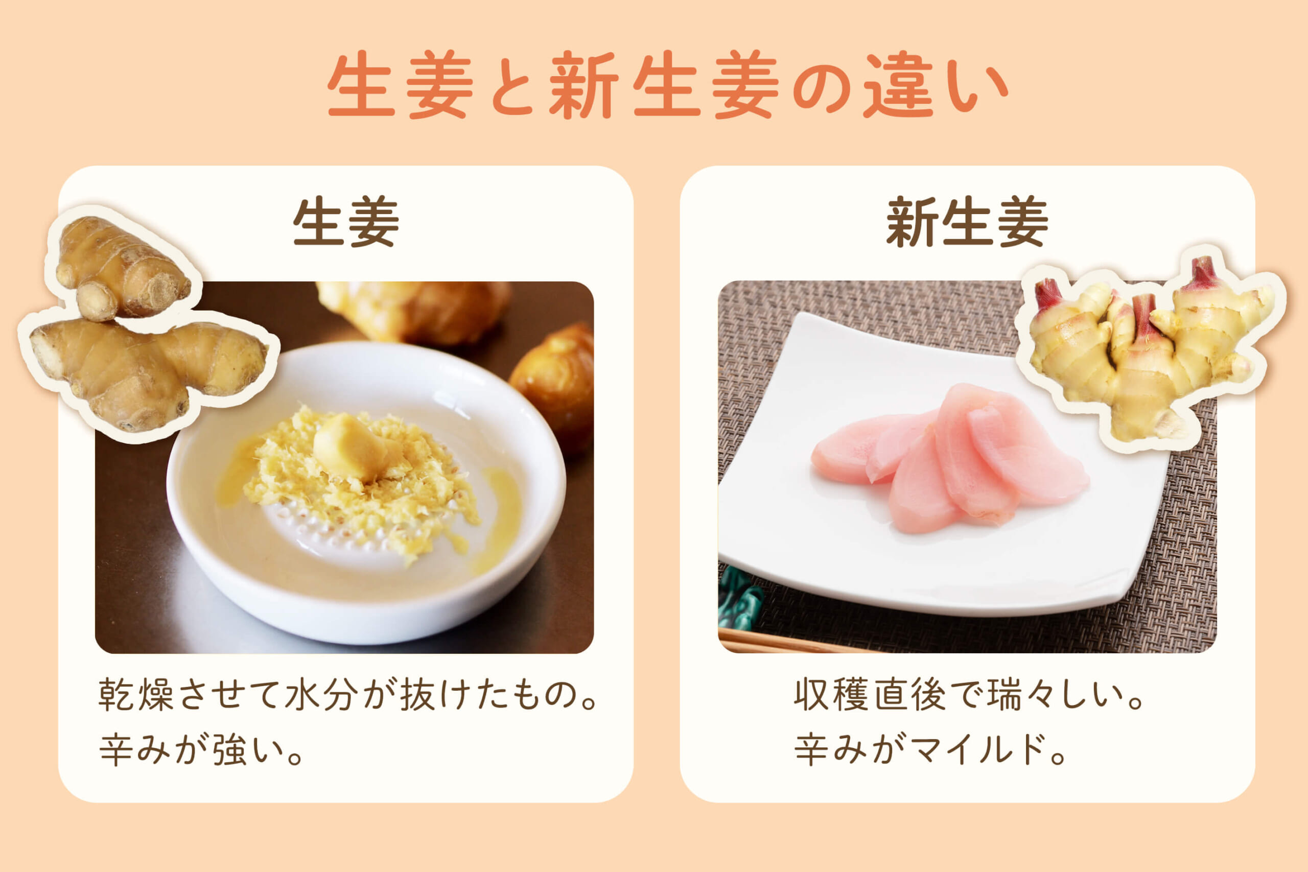 辛みも風味もくせになる。シャキシャキ食感「新生姜」を味わうレシピ20選キナリノ