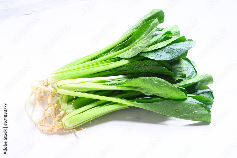 東京生まれの都会派野菜、小松菜野菜科学研究会