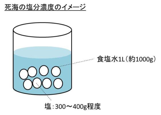 効率の良い人工海水の作り方「水と塩の割合」AquaNote アクアノート