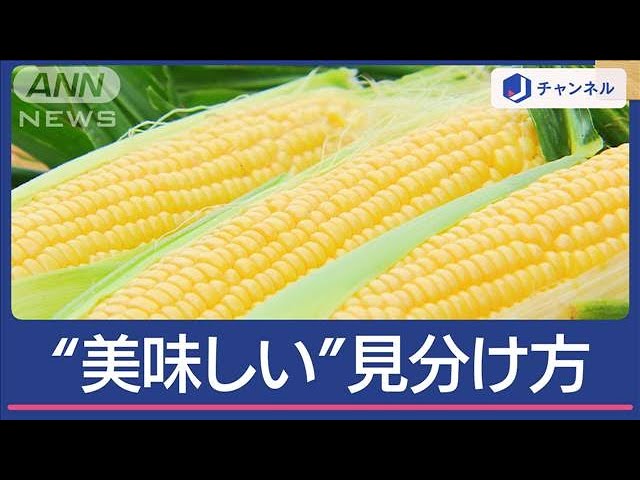 とうもろこしのおいしい見分け方&食べ方 皮も芯も使える!甘くておいしい夏レシピ3品 – 食楽web