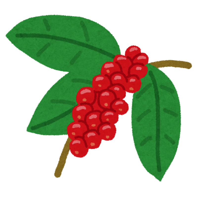 焙煎された珈琲豆の無料の写真素材 - ID.17466フリー素材 ぱくたそ