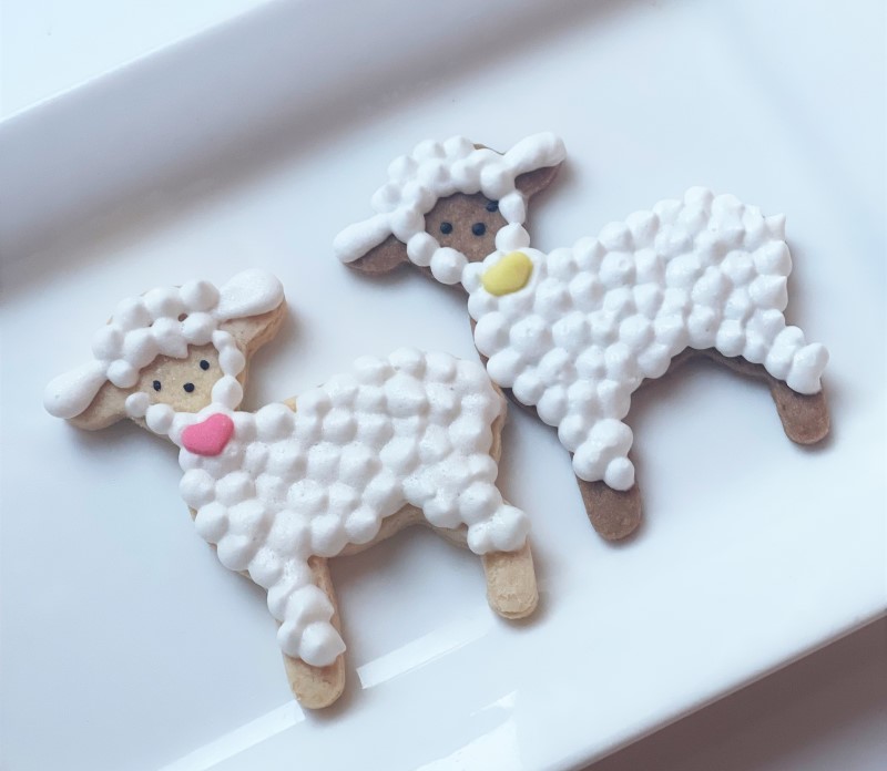 🍪 メレンゲクッキー☁️ 白茶黄3色あったら なに作れんだろの疑問のもと 作ってみたどうぶつたち🫢 可愛すぎて食べれないかと思いきやくまさんのココア味美味しくて 逆に食欲でた😟クッキー缶クッキークッキー作りお菓子作り手作りお菓子手作りおやつ