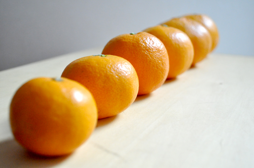 プロが教える美味しいみかんの品種は？旬の時期と特徴を説明武田青果