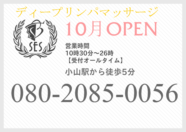 駿河屋 -【アダルト】<中古>カリスマ熟女の時間 / 長谷川留美子（ＡＶ）