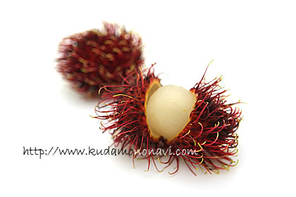 生ライチ『玉荷包 ぎょっかほう 』台湾産 レイシ 茘枝 約1kg 40〜50個程度 ※冷蔵豊洲市場ドットコム