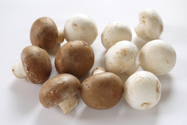 おいしいマッシュルームの選び方と、上手に保存する方法カゴメ株式会社