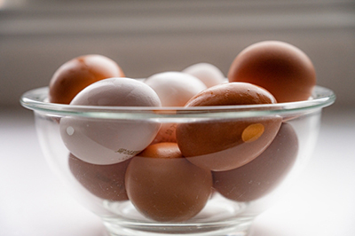 若鶏が生んだ初卵と親鶏の 贅沢グルメ缶詰 HALL・IN・ONE・EGG 6種セット47CLUB –名産・特産品・ご当地グルメのお取り寄せ・通販・贈答は47CLUB