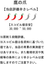 鷹の爪収穫方法を丁寧にご説明＆天日干し乾燥＜実践自然農法教室＞