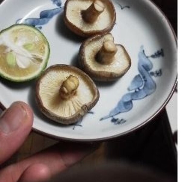 基本からアレンジまで！思わずつくりたくなる「しいたけ 魚焼きグリル」のレシピ集クックパッド