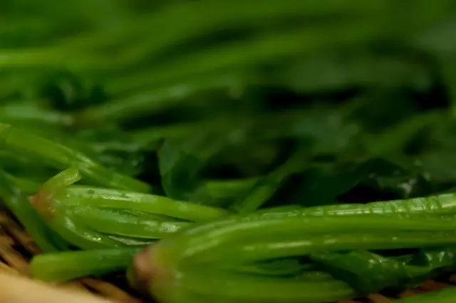 食材のご紹介～江戸川区産小松菜～