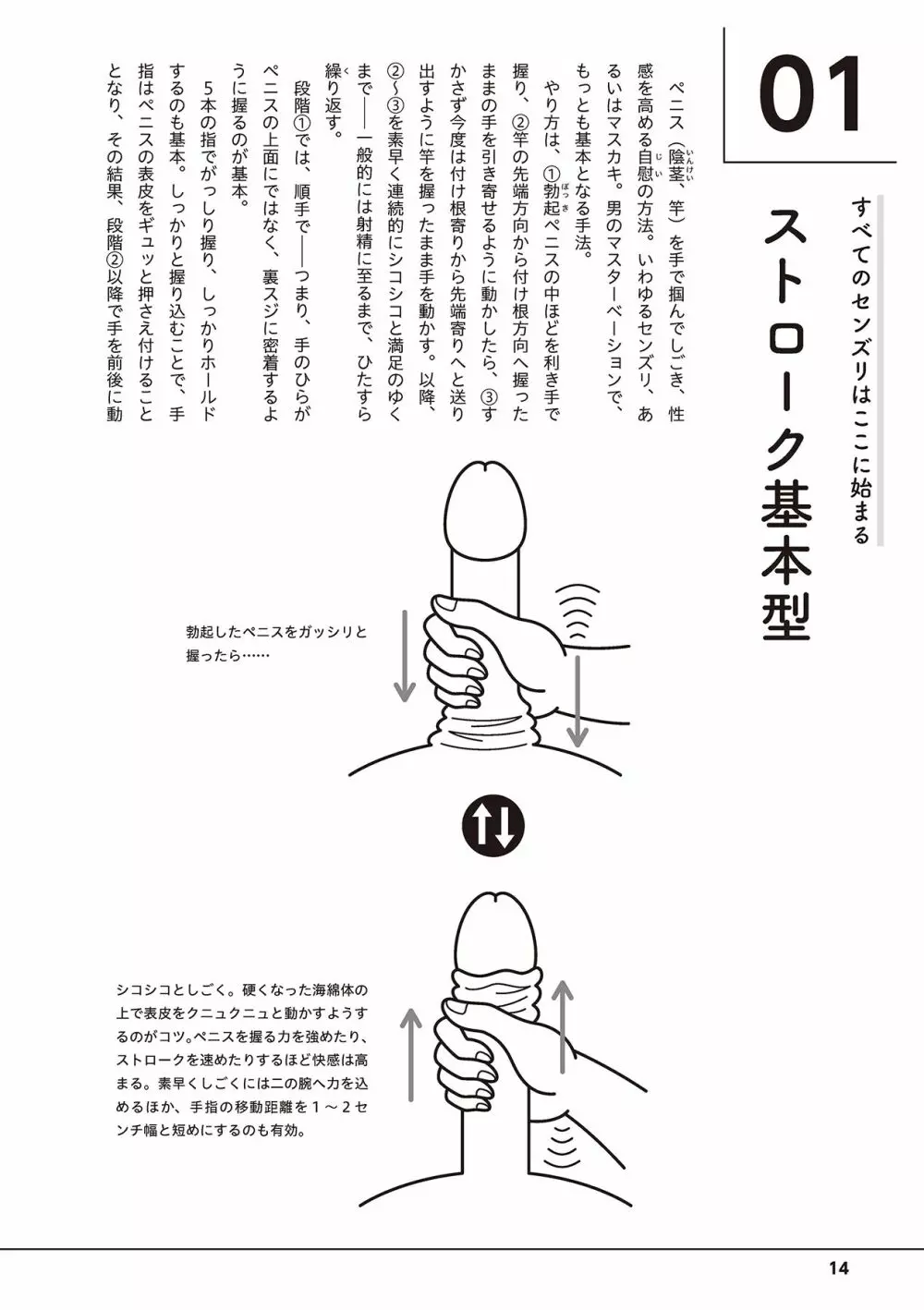 画像]:握り方