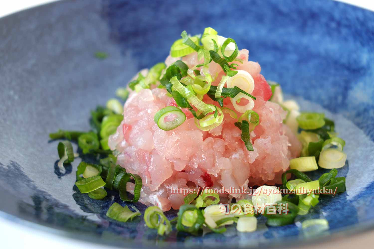 ビンナガ ビンチョウマグロの目利きと料理旬の魚貝百科