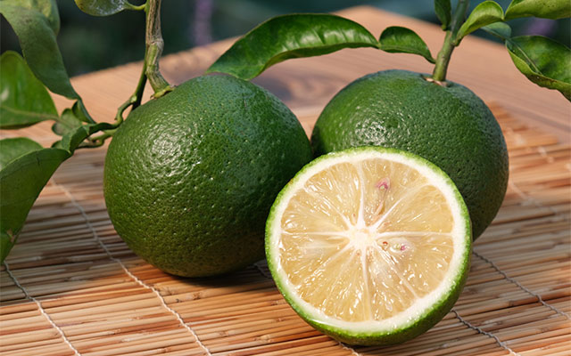 レシピ有 なにが違う？カボスとすだちを使いこなす