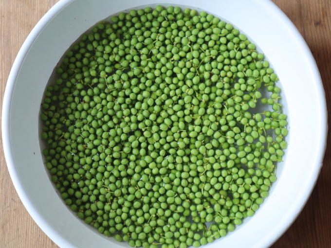 花山椒の佃煮安全農産ブログ