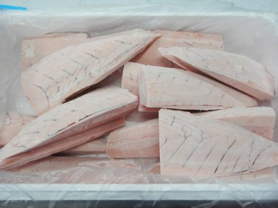 ビンナガマグロ ビンチョウマグロ の秘密すべてご紹介！基礎知識からおもしろ雑学までやさしく解説きのした生魚店