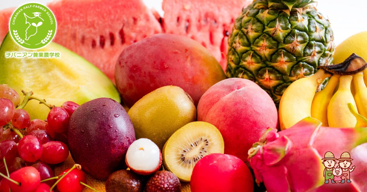 南国バリ島で「雪の実！？」 珍しい果物のご紹介！バリ王