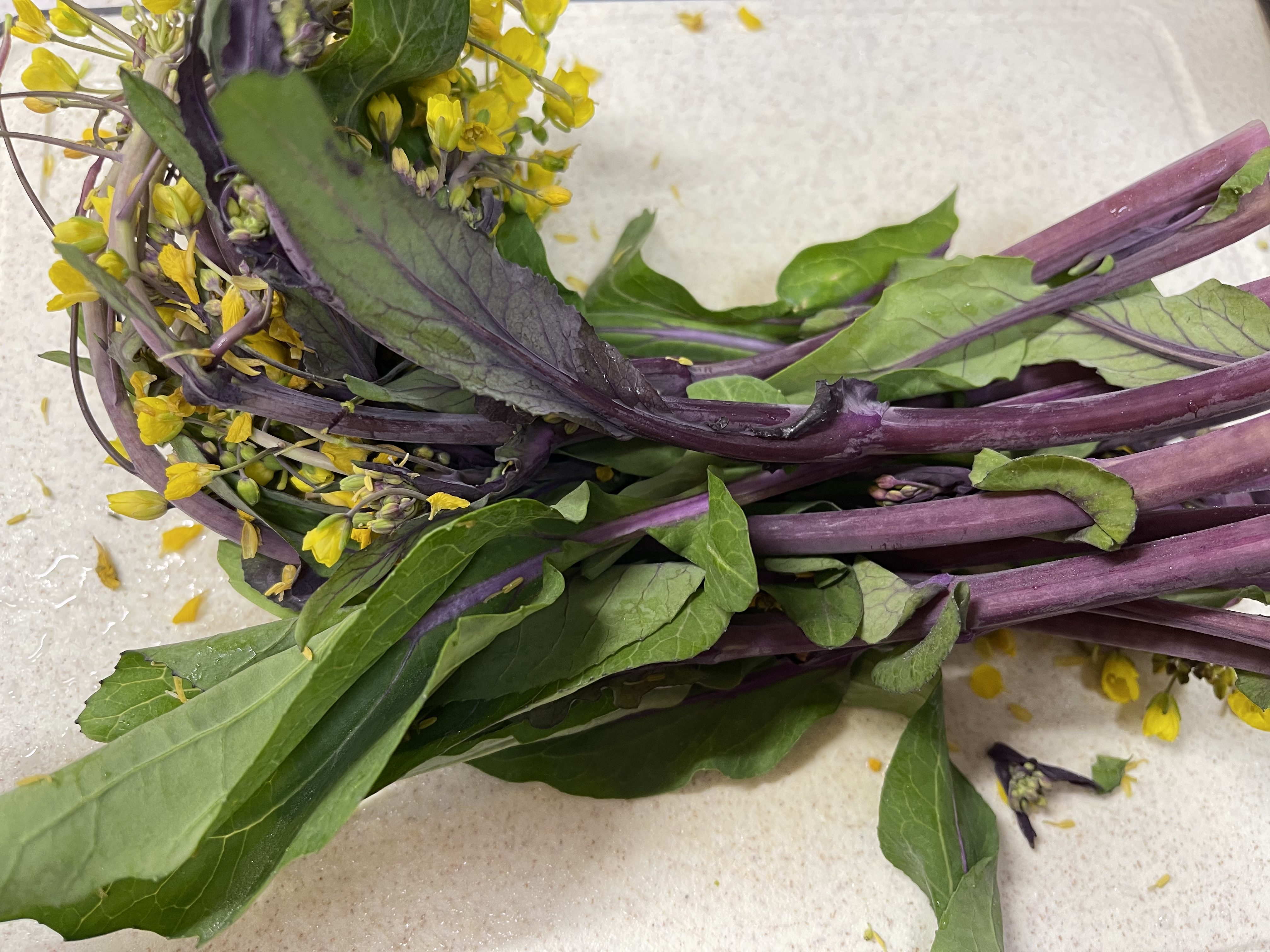 紅菜苔 こうさいたいべになばなの選び方や料理:旬の野菜百科