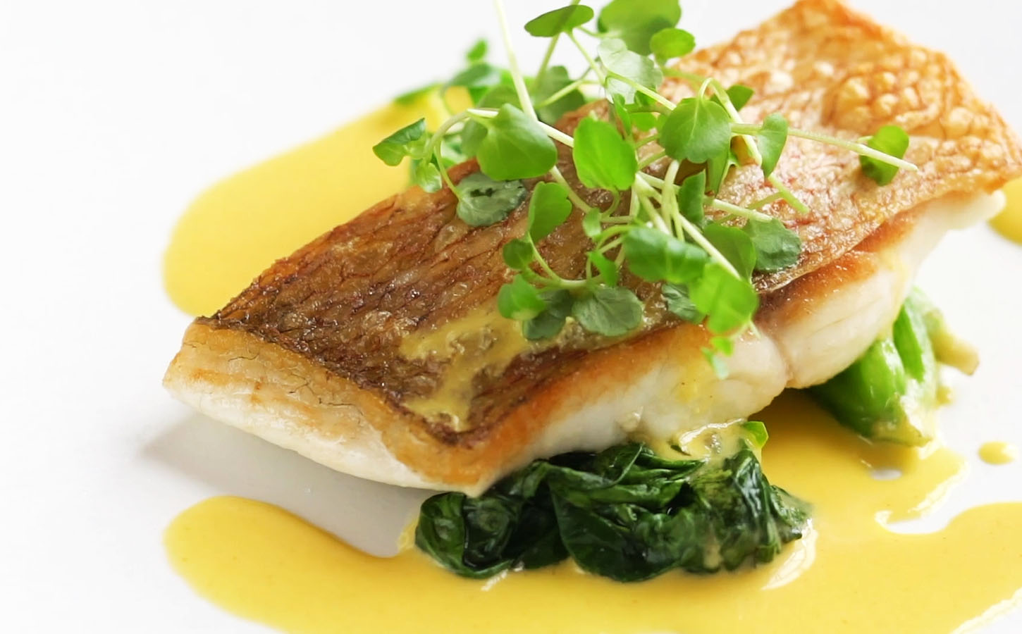 魚介類のレシピレシピモンテ物産