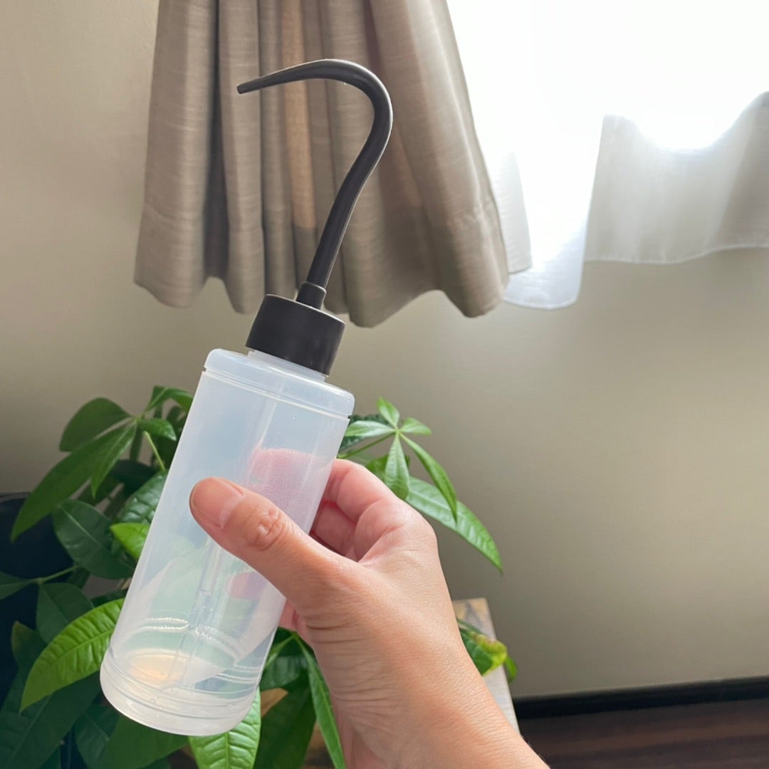 ダイソー銀座店の新しい試み: タウンNEWS広島 平和大通り