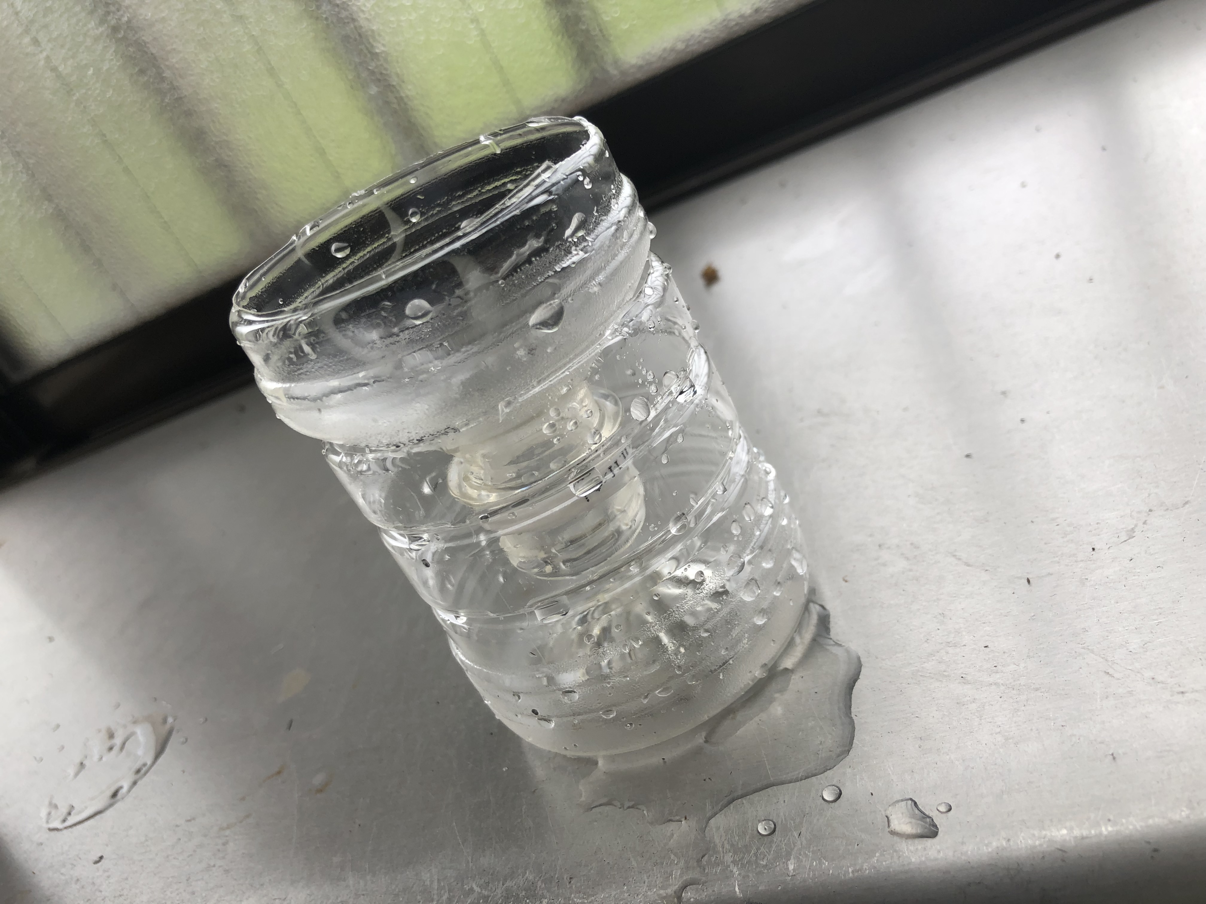 リビング 水耕栽培 ペットボトル再利用 アボカド水栽培 アボカドの種のインテリア実例 - 2025-03-31 15:01:52RoomClip ルームクリップ